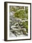 Starvation Creek near Sandy, Columbia Gorge National scenic Area, Oregon, USA-Stuart Westmorland-Framed Photographic Print