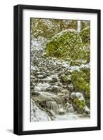 Starvation Creek near Sandy, Columbia Gorge National scenic Area, Oregon, USA-Stuart Westmorland-Framed Photographic Print