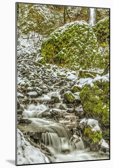 Starvation Creek near Sandy, Columbia Gorge National scenic Area, Oregon, USA-Stuart Westmorland-Mounted Photographic Print