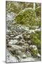 Starvation Creek near Sandy, Columbia Gorge National scenic Area, Oregon, USA-Stuart Westmorland-Mounted Photographic Print