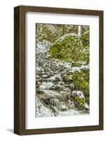 Starvation Creek near Sandy, Columbia Gorge National scenic Area, Oregon, USA-Stuart Westmorland-Framed Photographic Print