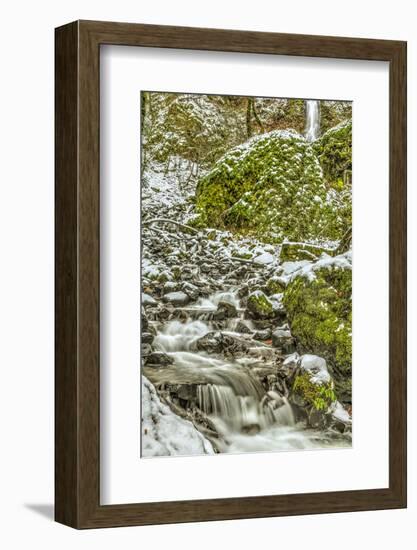 Starvation Creek near Sandy, Columbia Gorge National scenic Area, Oregon, USA-Stuart Westmorland-Framed Photographic Print