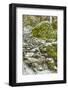 Starvation Creek near Sandy, Columbia Gorge National scenic Area, Oregon, USA-Stuart Westmorland-Framed Photographic Print