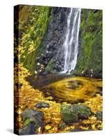 Starvation Creek Waterfall in Fall, Columbia River Gorge, Oregon, USA-Jaynes Gallery-Stretched Canvas