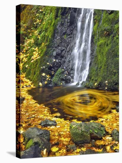 Starvation Creek Waterfall in Fall, Columbia River Gorge, Oregon, USA-Jaynes Gallery-Stretched Canvas
