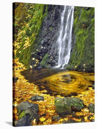 Starvation Creek Waterfall in Fall, Columbia River Gorge, Oregon, USA-Jaynes Gallery-Stretched Canvas