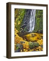 Starvation Creek Waterfall in Fall, Columbia River Gorge, Oregon, USA-Jaynes Gallery-Framed Photographic Print