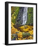 Starvation Creek Waterfall in Fall, Columbia River Gorge, Oregon, USA-Jaynes Gallery-Framed Photographic Print