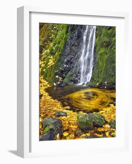 Starvation Creek Waterfall in Fall, Columbia River Gorge, Oregon, USA-Jaynes Gallery-Framed Photographic Print