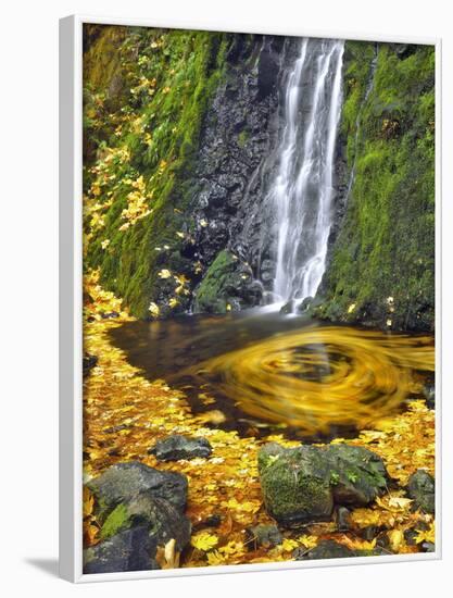 Starvation Creek Waterfall in Fall, Columbia River Gorge, Oregon, USA-Jaynes Gallery-Framed Photographic Print