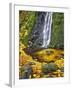 Starvation Creek Waterfall in Fall, Columbia River Gorge, Oregon, USA-Jaynes Gallery-Framed Photographic Print