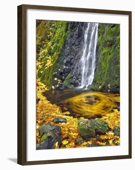 Starvation Creek Waterfall in Fall, Columbia River Gorge, Oregon, USA-Jaynes Gallery-Framed Photographic Print