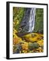 Starvation Creek Waterfall in Fall, Columbia River Gorge, Oregon, USA-Jaynes Gallery-Framed Photographic Print