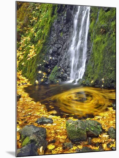 Starvation Creek Waterfall in Fall, Columbia River Gorge, Oregon, USA-Jaynes Gallery-Mounted Photographic Print