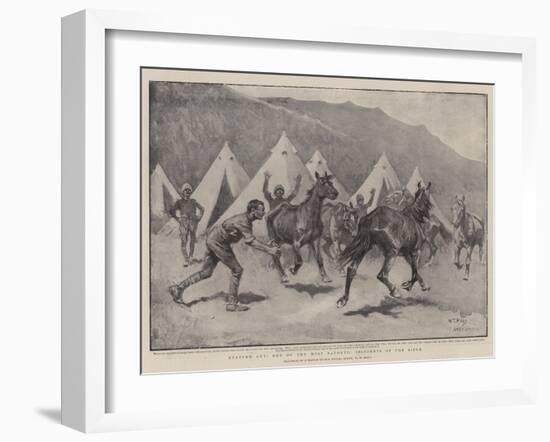 Starved Out, One of the Most Pathetic Incidents of the Siege-William T. Maud-Framed Giclee Print