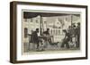 Starving Dogs at a Temporary Cafe in the Grand Square, Alexandria-null-Framed Giclee Print