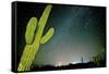 Stary Sky with Saguaro Cactus over Organ Pipe Cactus Nm, Arizona-Richard Wright-Framed Stretched Canvas