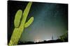 Stary Sky with Saguaro Cactus over Organ Pipe Cactus Nm, Arizona-Richard Wright-Stretched Canvas