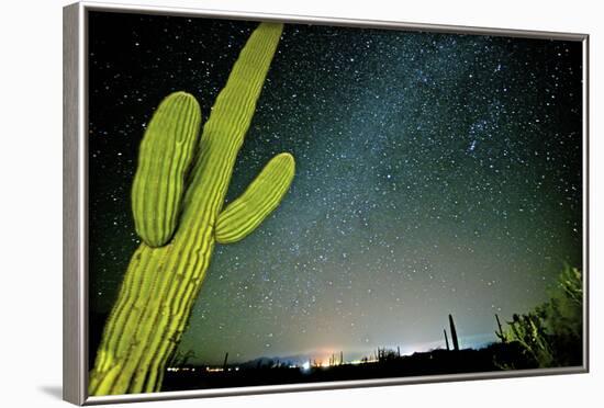 Stary Sky with Saguaro Cactus over Organ Pipe Cactus Nm, Arizona-Richard Wright-Framed Photographic Print