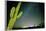 Stary Sky with Saguaro Cactus over Organ Pipe Cactus Nm, Arizona-Richard Wright-Framed Photographic Print