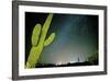 Stary Sky with Saguaro Cactus over Organ Pipe Cactus Nm, Arizona-Richard Wright-Framed Photographic Print