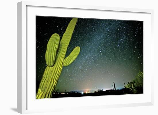 Stary Sky with Saguaro Cactus over Organ Pipe Cactus Nm, Arizona-Richard Wright-Framed Photographic Print