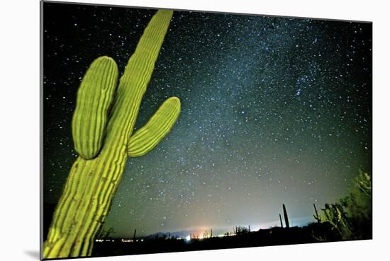 Stary Sky with Saguaro Cactus over Organ Pipe Cactus Nm, Arizona-Richard Wright-Mounted Photographic Print