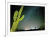 Stary Sky with Saguaro Cactus over Organ Pipe Cactus Nm, Arizona-Richard Wright-Framed Photographic Print