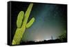 Stary Sky with Saguaro Cactus over Organ Pipe Cactus Nm, Arizona-Richard Wright-Framed Stretched Canvas