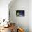 Stary Sky with Saguaro Cactus over Organ Pipe Cactus Nm, Arizona-Richard Wright-Stretched Canvas displayed on a wall