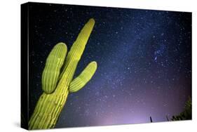 Stary Sky with Saguaro Cactus over Organ Pipe Cactus Nm, Arizona-Richard Wright-Stretched Canvas