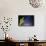 Stary Sky with Saguaro Cactus over Organ Pipe Cactus Nm, Arizona-Richard Wright-Framed Photographic Print displayed on a wall