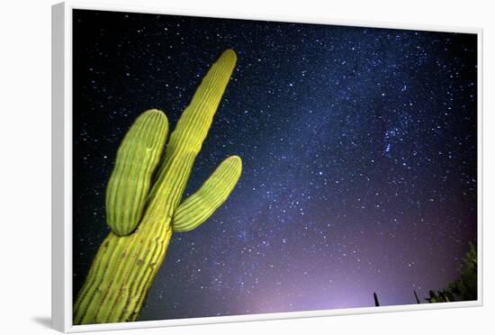 Stary Sky with Saguaro Cactus over Organ Pipe Cactus Nm, Arizona-Richard Wright-Framed Photographic Print