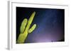 Stary Sky with Saguaro Cactus over Organ Pipe Cactus Nm, Arizona-Richard Wright-Framed Photographic Print