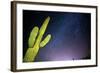 Stary Sky with Saguaro Cactus over Organ Pipe Cactus Nm, Arizona-Richard Wright-Framed Photographic Print