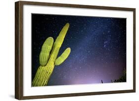 Stary Sky with Saguaro Cactus over Organ Pipe Cactus Nm, Arizona-Richard Wright-Framed Photographic Print