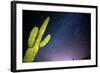 Stary Sky with Saguaro Cactus over Organ Pipe Cactus Nm, Arizona-Richard Wright-Framed Photographic Print