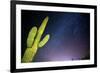 Stary Sky with Saguaro Cactus over Organ Pipe Cactus Nm, Arizona-Richard Wright-Framed Photographic Print