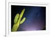 Stary Sky with Saguaro Cactus over Organ Pipe Cactus Nm, Arizona-Richard Wright-Framed Photographic Print