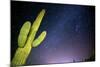 Stary Sky with Saguaro Cactus over Organ Pipe Cactus Nm, Arizona-Richard Wright-Mounted Photographic Print