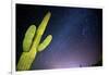 Stary Sky with Saguaro Cactus over Organ Pipe Cactus Nm, Arizona-Richard Wright-Framed Photographic Print