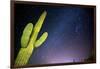 Stary Sky with Saguaro Cactus over Organ Pipe Cactus Nm, Arizona-Richard Wright-Framed Photographic Print