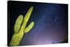Stary Sky with Saguaro Cactus over Organ Pipe Cactus Nm, Arizona-Richard Wright-Stretched Canvas