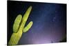 Stary Sky with Saguaro Cactus over Organ Pipe Cactus Nm, Arizona-Richard Wright-Stretched Canvas