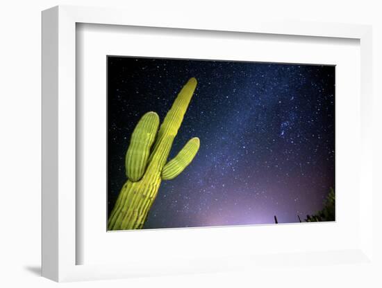 Stary Sky with Saguaro Cactus over Organ Pipe Cactus Nm, Arizona-Richard Wright-Framed Photographic Print