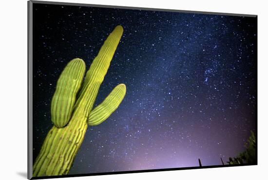 Stary Sky with Saguaro Cactus over Organ Pipe Cactus Nm, Arizona-Richard Wright-Mounted Photographic Print