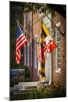 State and National U.S. Flags, Annapolis, Maryland, USA-Christopher Reed-Mounted Photographic Print