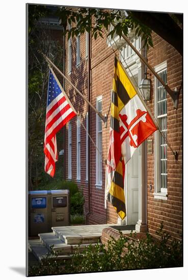 State and National U.S. Flags, Annapolis, Maryland, USA-Christopher Reed-Mounted Photographic Print