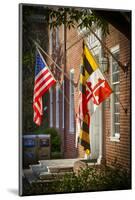 State and National U.S. Flags, Annapolis, Maryland, USA-Christopher Reed-Mounted Photographic Print