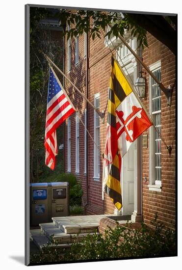 State and National U.S. Flags, Annapolis, Maryland, USA-Christopher Reed-Mounted Photographic Print